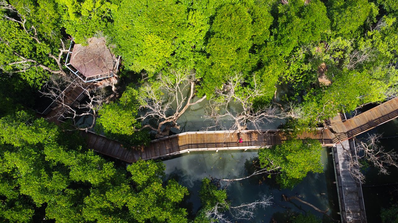 WELLNESS TOURISM, SPA & SPRING